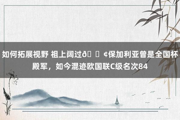 如何拓展视野 祖上阔过😢保加利亚曾是全国杯殿军，如今混迹欧国联C级名次84