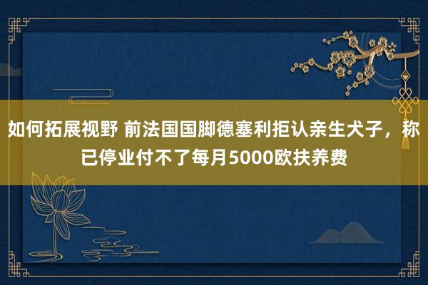 如何拓展视野 前法国国脚德塞利拒认亲生犬子，称已停业付不了每月5000欧扶养费