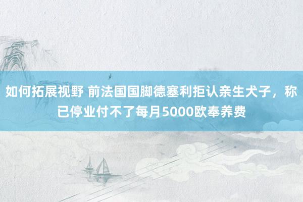 如何拓展视野 前法国国脚德塞利拒认亲生犬子，称已停业付不了每月5000欧奉养费