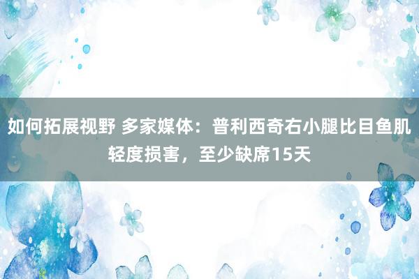 如何拓展视野 多家媒体：普利西奇右小腿比目鱼肌轻度损害，至少缺席15天