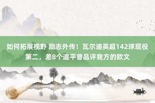 如何拓展视野 励志外传！瓦尔迪英超142球现役第二，差8个追平曾品评我方的欧文