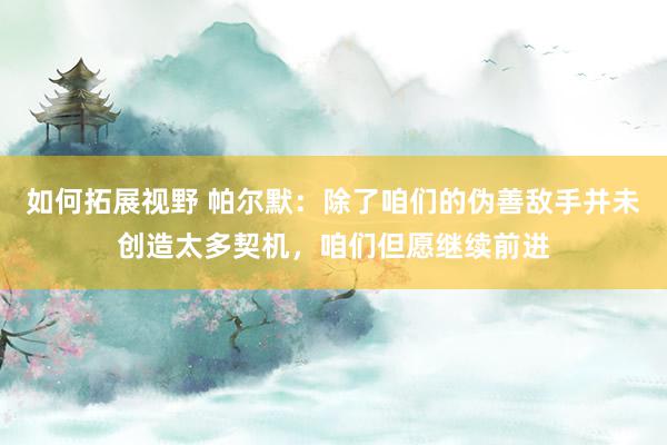 如何拓展视野 帕尔默：除了咱们的伪善敌手并未创造太多契机，咱们但愿继续前进