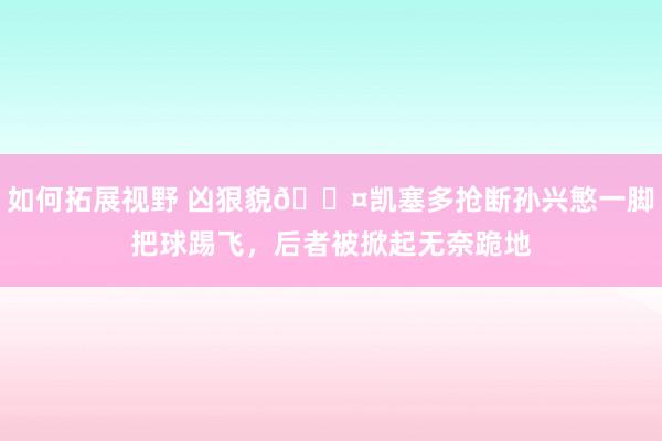 如何拓展视野 凶狠貌😤凯塞多抢断孙兴慜一脚把球踢飞，后者被掀起无奈跪地