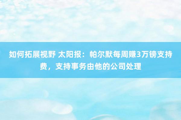 如何拓展视野 太阳报：帕尔默每周赚3万镑支持费，支持事务由他的公司处理