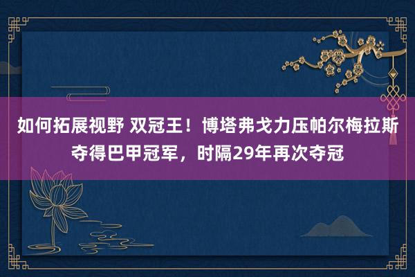 如何拓展视野 双冠王！博塔弗戈力压帕尔梅拉斯夺得巴甲冠军，时隔29年再次夺冠