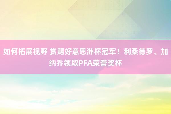 如何拓展视野 赏赐好意思洲杯冠军！利桑德罗、加纳乔领取PFA荣誉奖杯