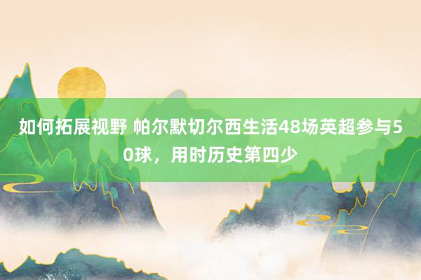 如何拓展视野 帕尔默切尔西生活48场英超参与50球，用时历史第四少