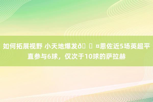 如何拓展视野 小天地爆发😤恩佐近5场英超平直参与6球，仅次于10球的萨拉赫