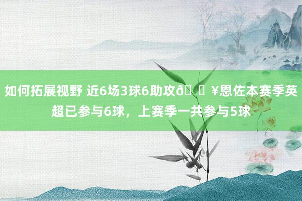 如何拓展视野 近6场3球6助攻🔥恩佐本赛季英超已参与6球，上赛季一共参与5球