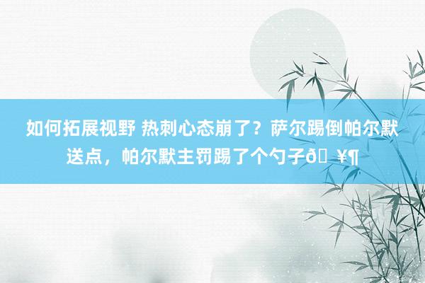 如何拓展视野 热刺心态崩了？萨尔踢倒帕尔默送点，帕尔默主罚踢了个勺子🥶