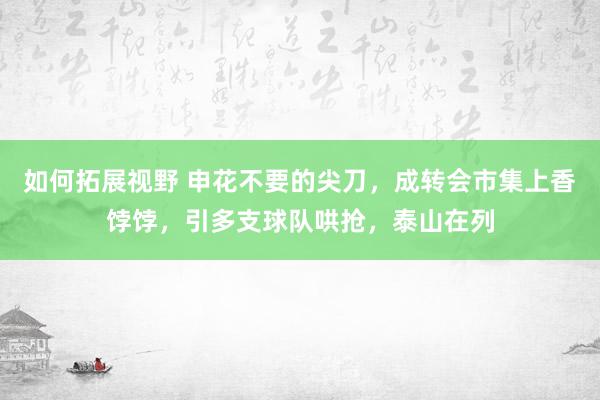 如何拓展视野 申花不要的尖刀，成转会市集上香饽饽，引多支球队哄抢，泰山在列