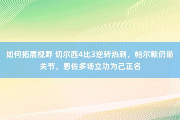 如何拓展视野 切尔西4比3逆转热刺，帕尔默仍最关节，恩佐多场立功为己正名